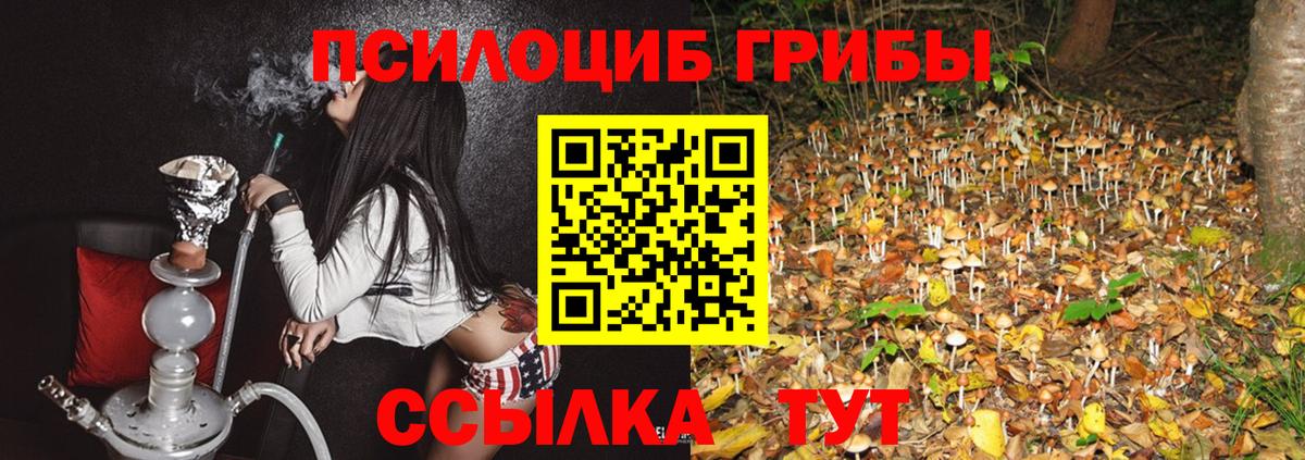 Ивантеевка  Галлюциногенные грибы MAGIC MUSHROOMS  Вход с VPN  Псилоцибиновые грибы ЛСД 